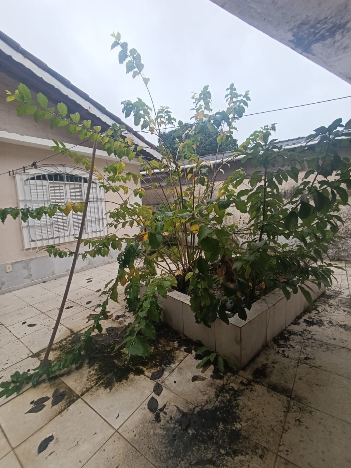 CAS261395 Casa Térrea com Edícula em Itanhaém – 04 Dormitórios a 800m do Mar