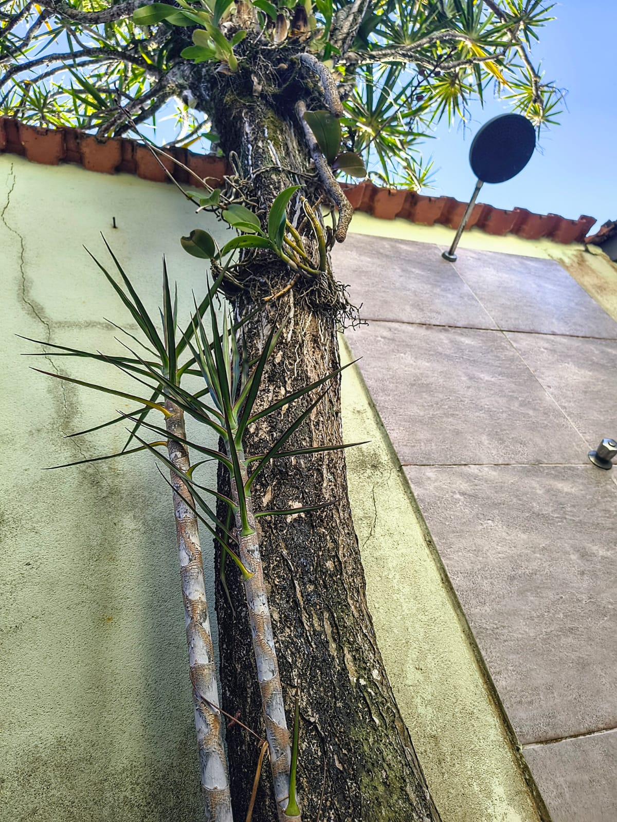 CAS261397 Casa Reformada no Satélite Itanhaém – 02 Dormitórios a 70m da Praia